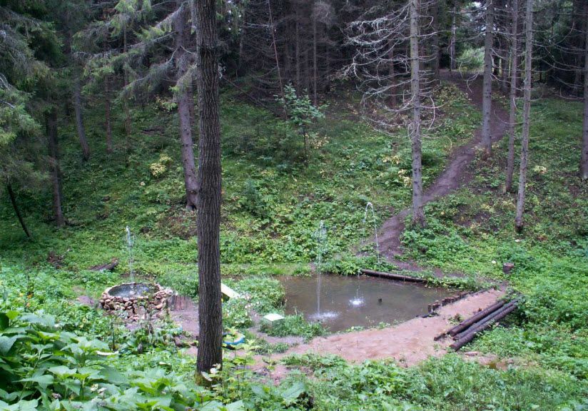 Вий Памаш