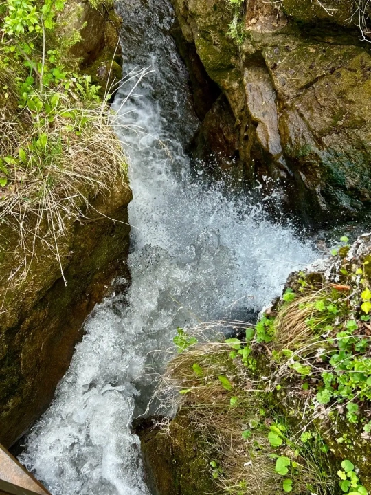 Медовые водопады: шум воды и сладкий аромат легенд
