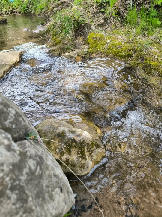 Медовые водопады: шум воды и сладкий аромат легенд