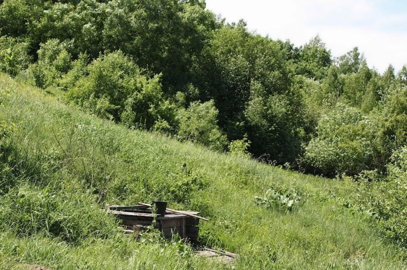 Родник Кередьэши