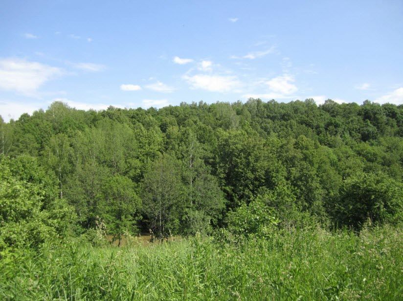 Урочище Од Мода