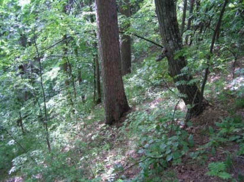 Оползень «Кошель-гора»