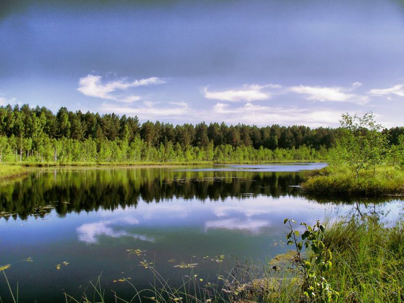 Национальный парк «Смольный»