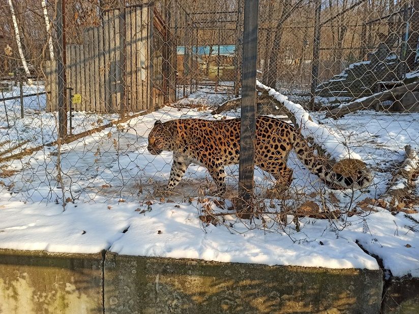 Приамурский зоосад