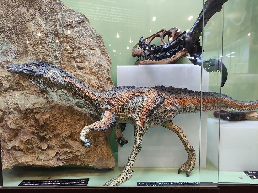 Палеонтологический музей