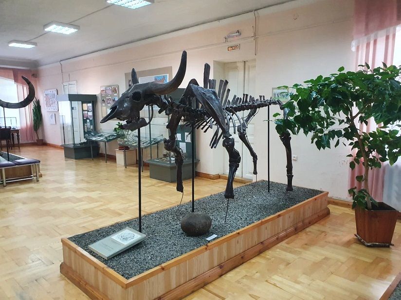 Краеведческий музей