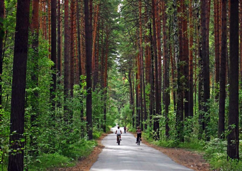 Заельцовский парк