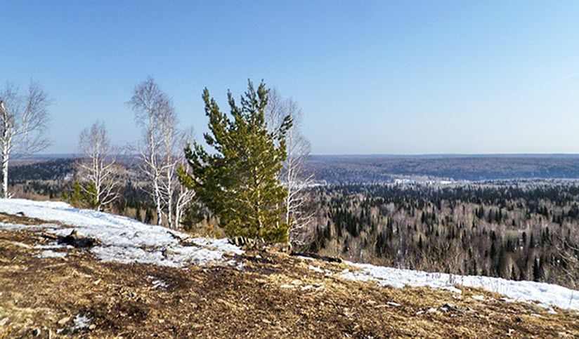 Талицкий заказник