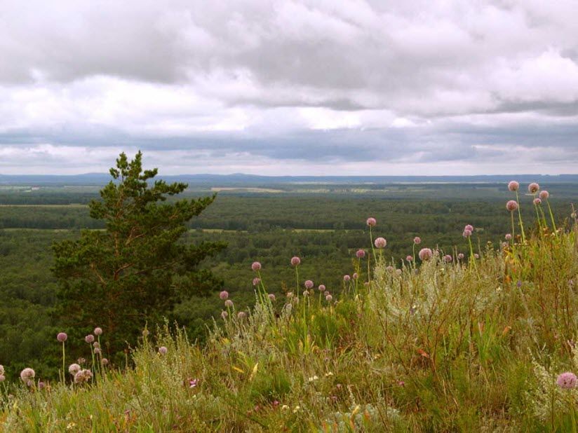 Улантова гора