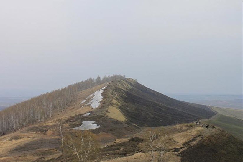 Волчья грива