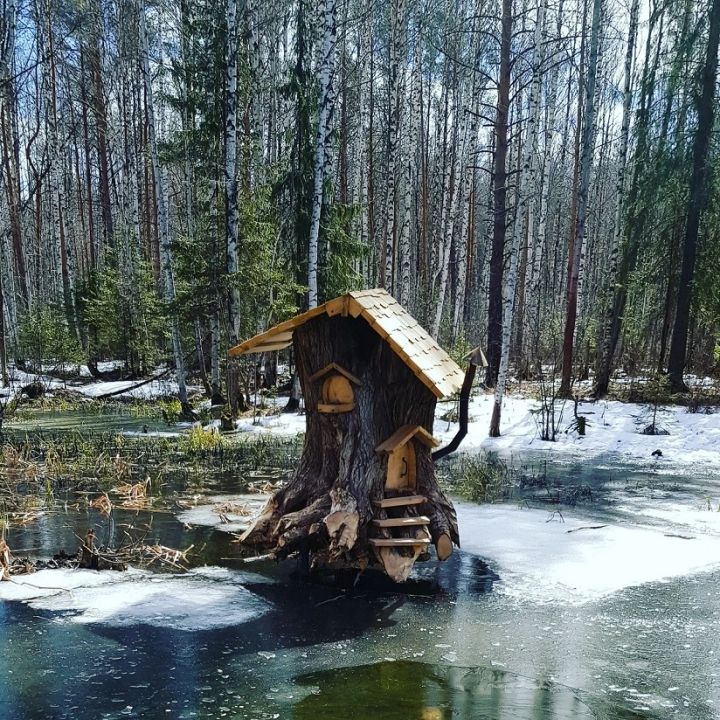 Черняевский лес