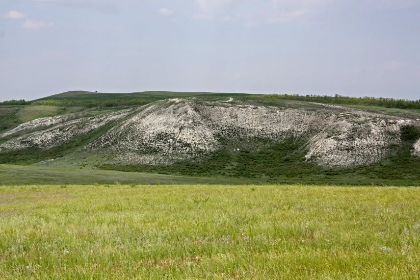 Чесноковские меловые горы