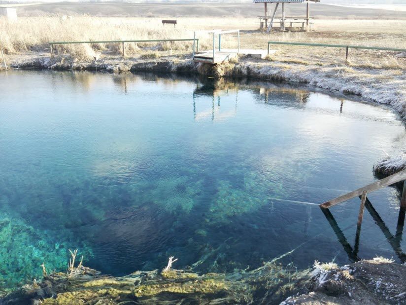 Дмитриевский сероводородный источник