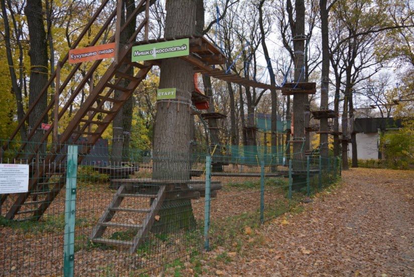 Веревочный парк «Спайдер-парк»