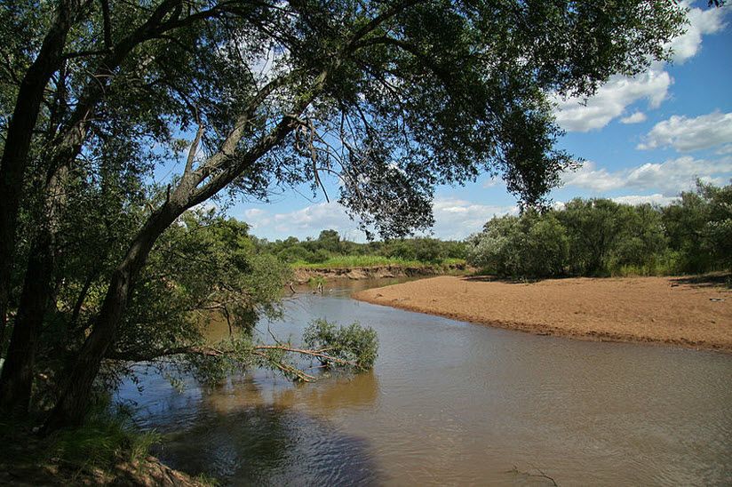 Ханкайский заказник