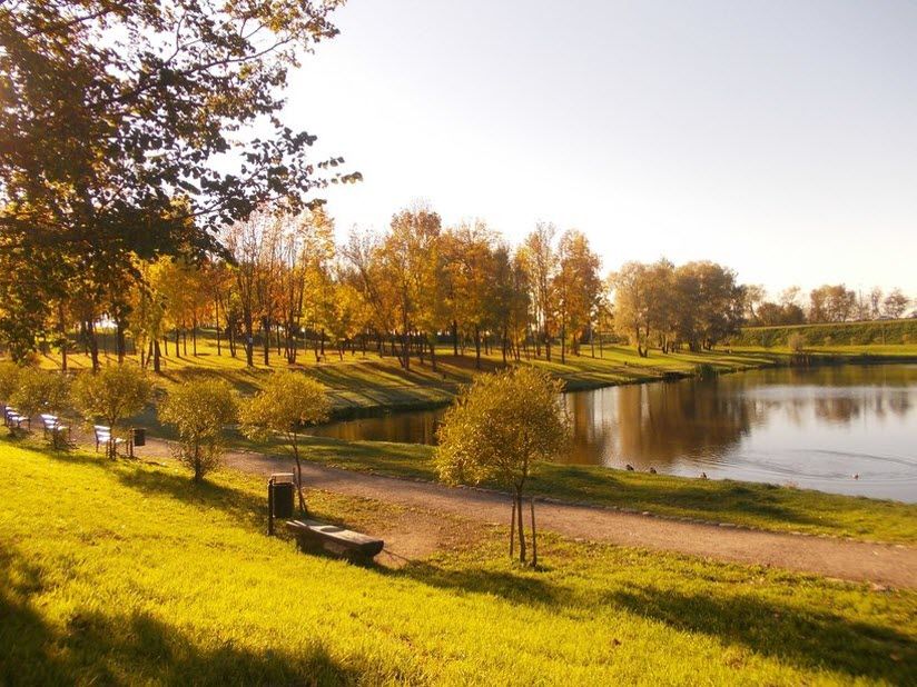 Псковский дендропарк