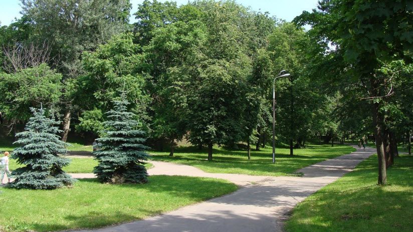 Ботанический сад