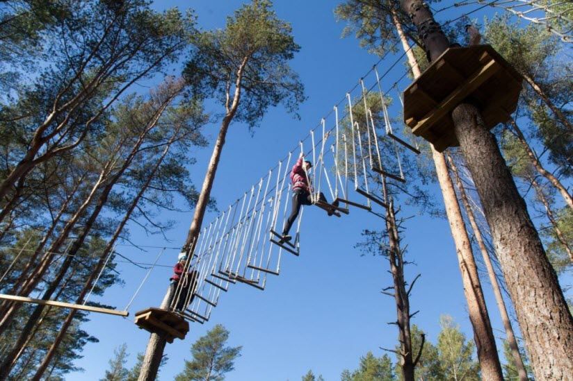 Веревочный парк «Раздолье»