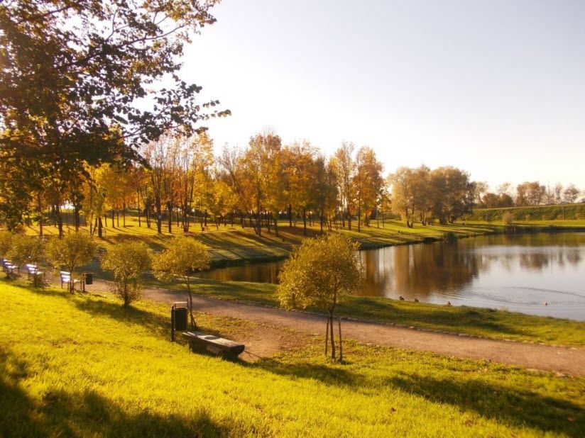 Дендропарк