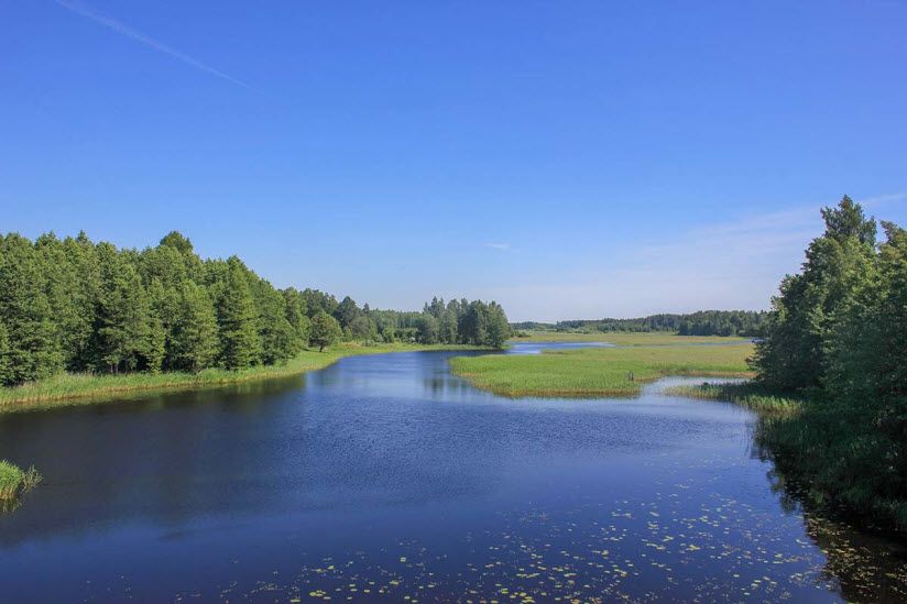 Ремдовский заказник