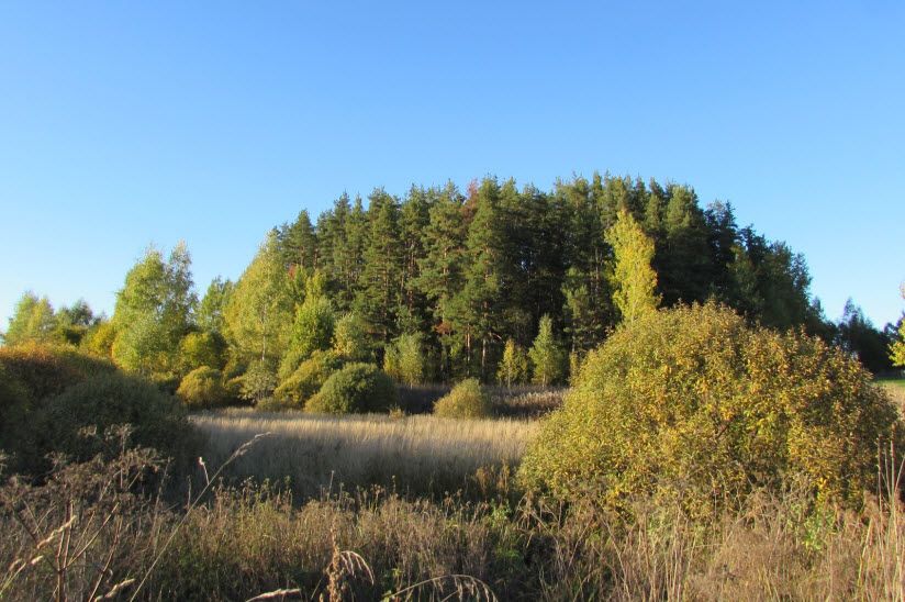 Духова гора