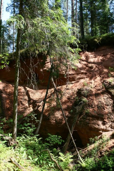 Урочище Бычий ручей