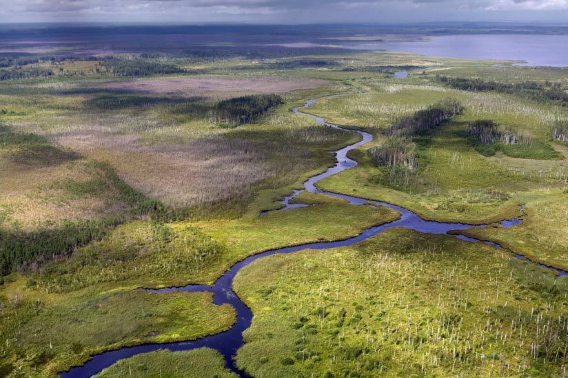Полистовский заповедник
