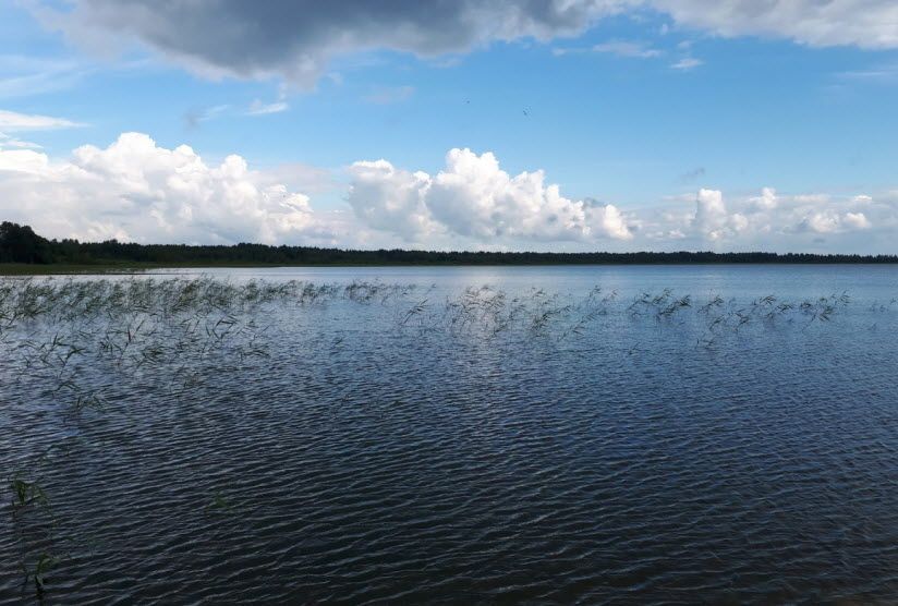 Озеро Гороховое