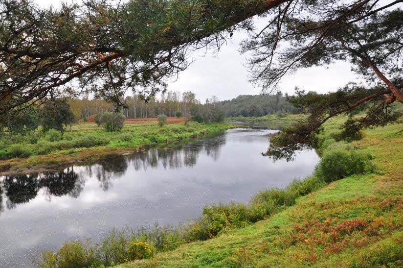 Река Ловать