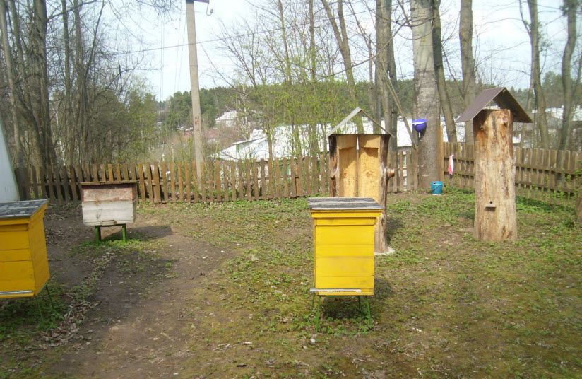 Пчелиная усадьба
