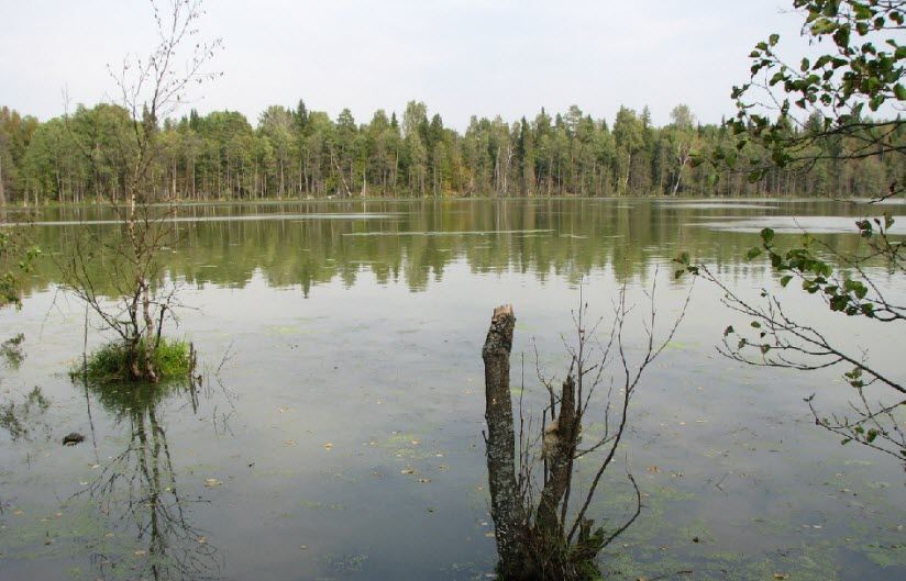 Озеро Соленое