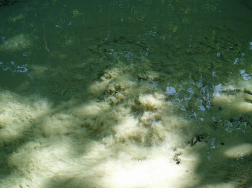 Источник Кипящая площадь