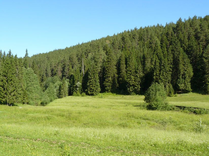 Природный заказник Горное Заделье