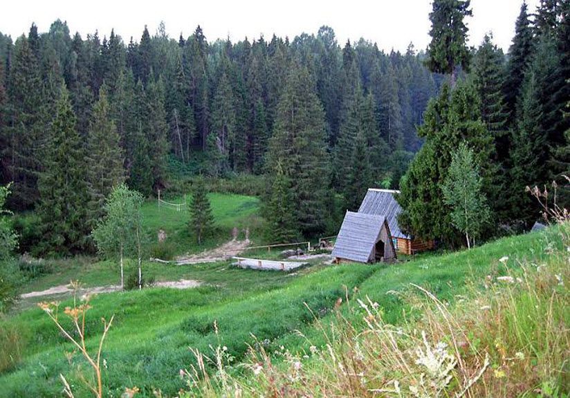 Карамасский лес