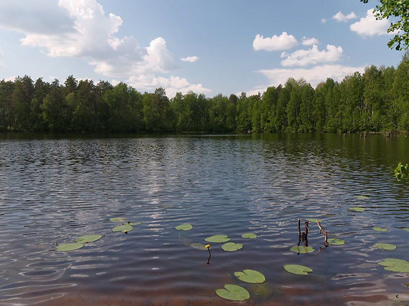 Озеро Шильма