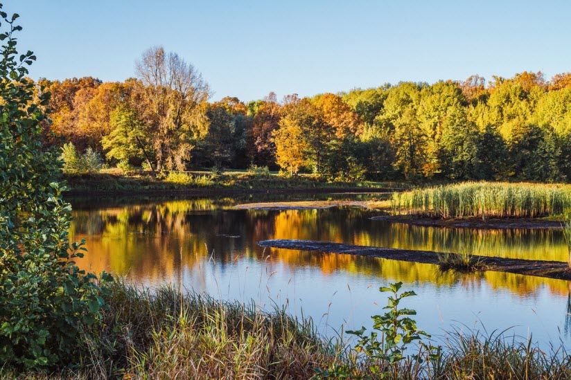 Заповедник Большая Кокшага