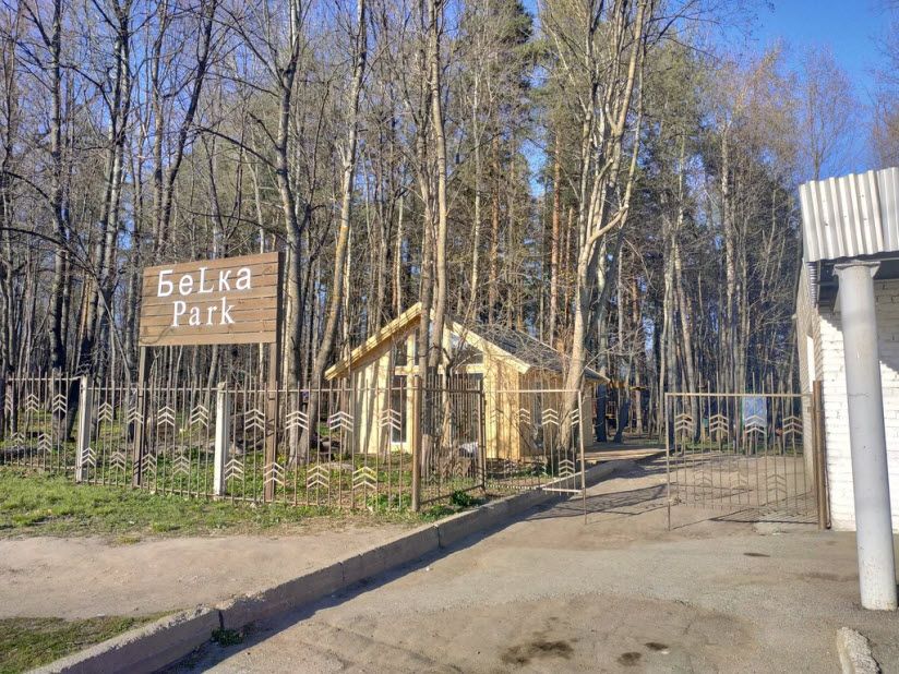 Веревочный центр «Белка-Парк»