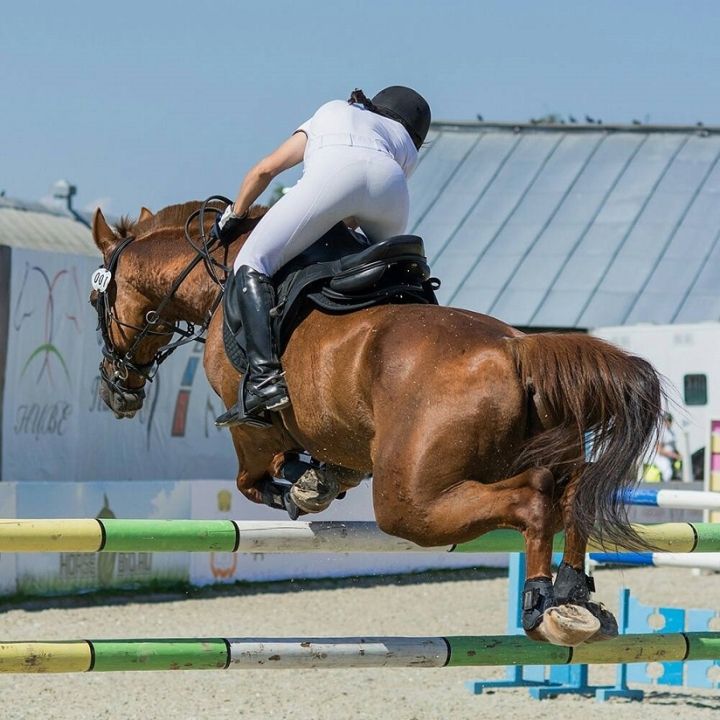 Конноспортивный клуб «Пассаж»