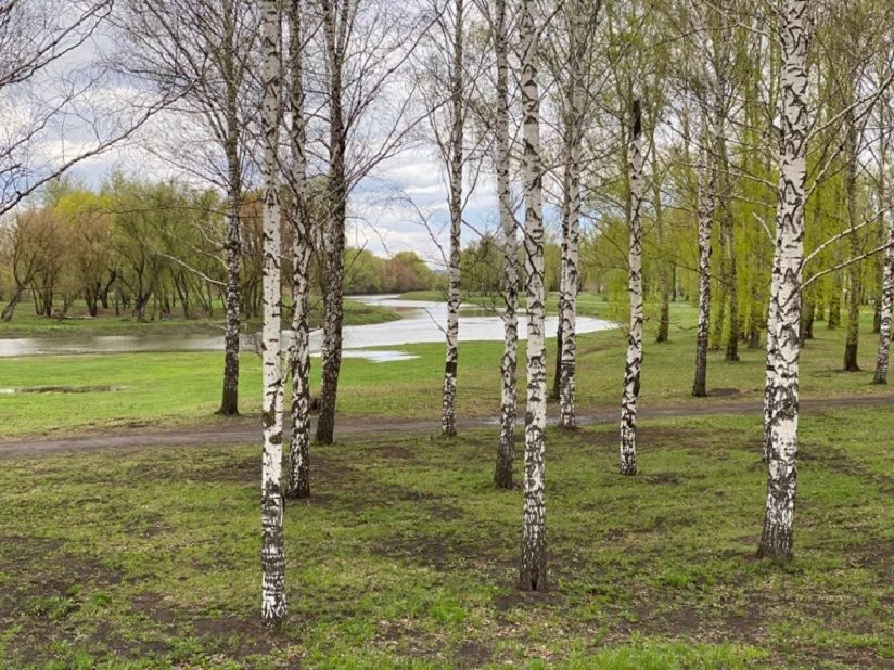 Экопарк на Моховой