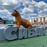 ТОП-25 достопримечательностей Сибая: Список интересных мест
