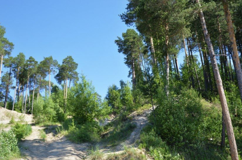 Урочище «Барсова гора»