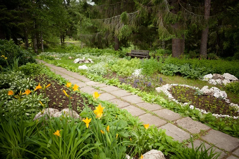 Ботанический сад СГУ им. Питирима Сорокина