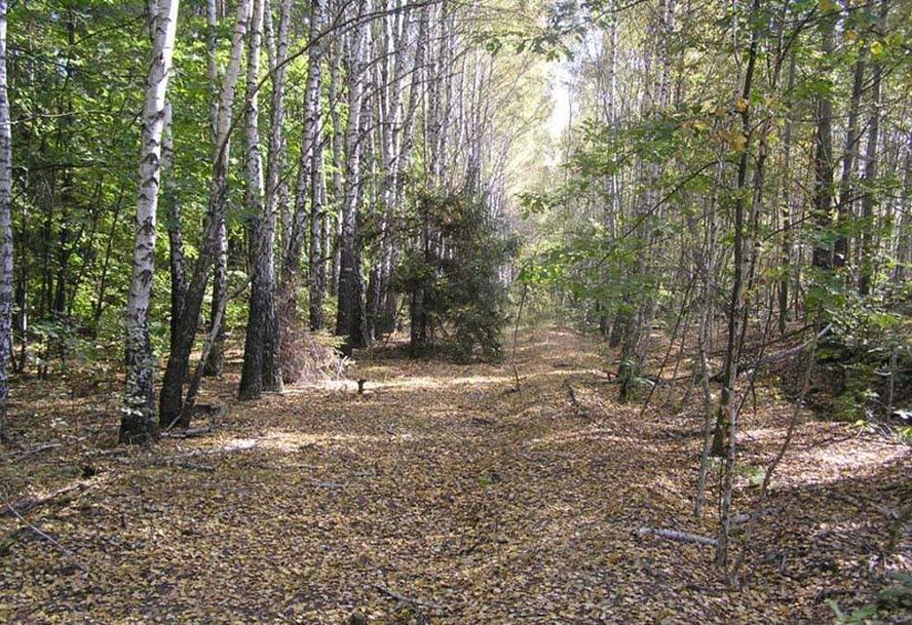 Рахимовский заказник