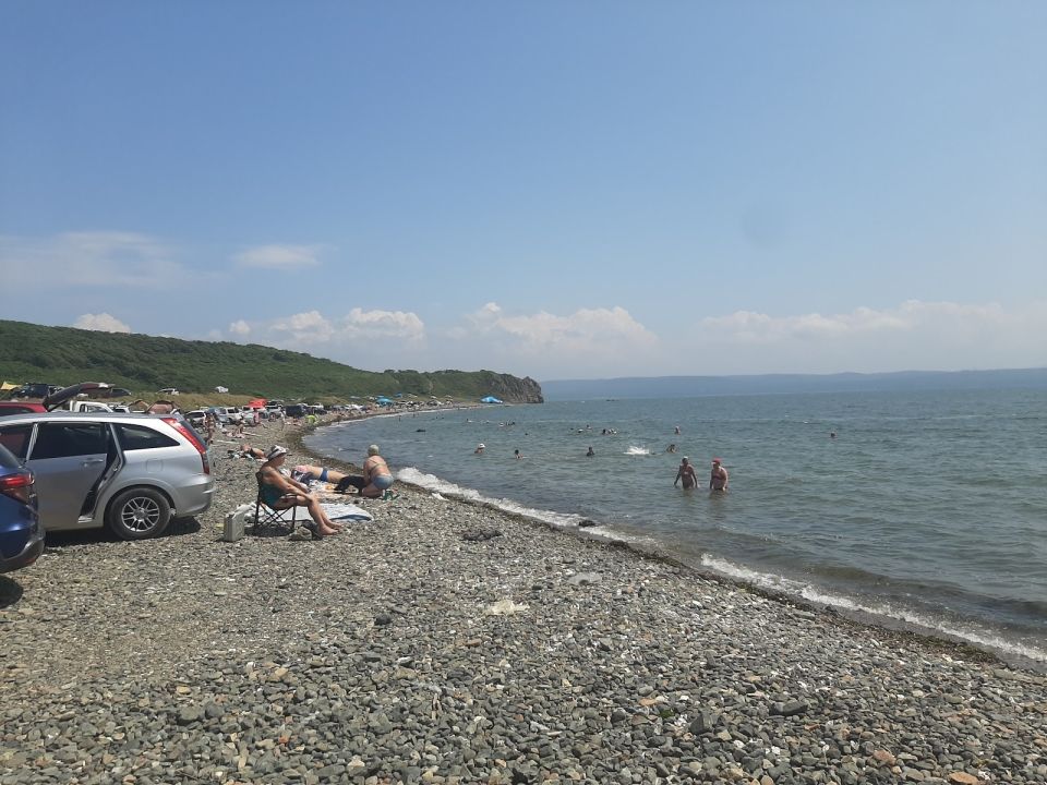 Черепаха