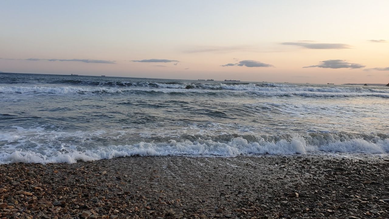 Горностай