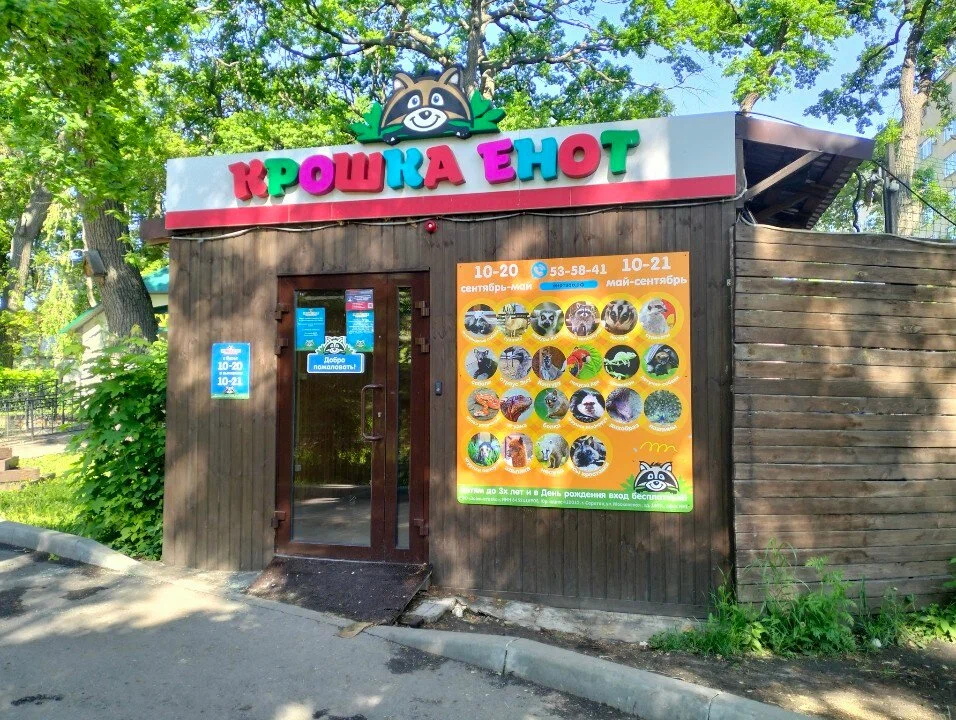 Крошка Енот