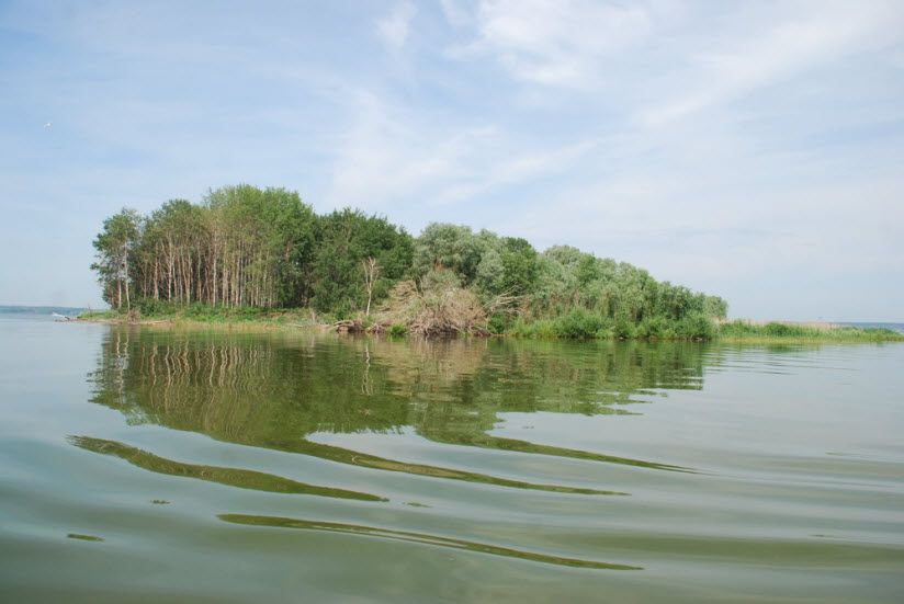 Остров Красноярский (Борок)