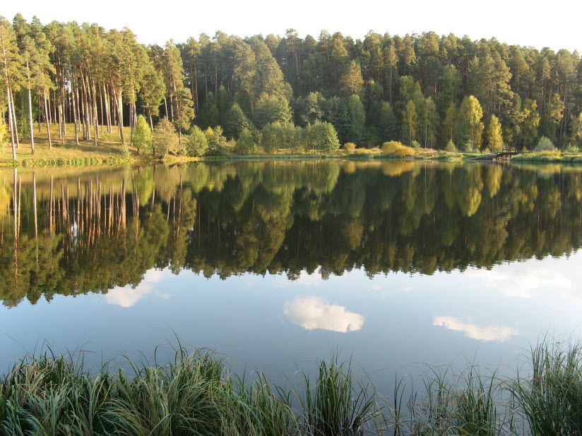 Белое озеро
