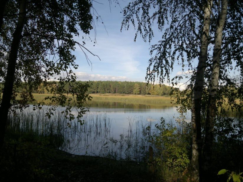 Берег орланов