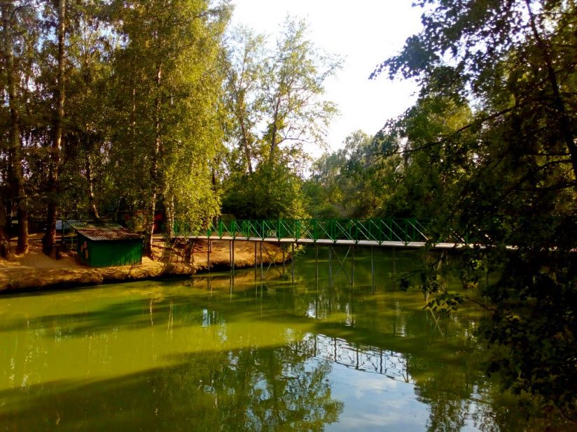 Медведевский мини-зоопарк